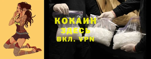 гашик Алексин