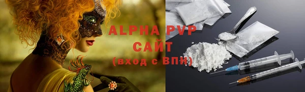 гашик Алексин
