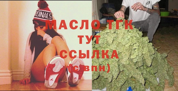 гашик Алексин