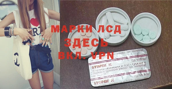 гашик Алексин
