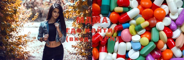 гашик Алексин